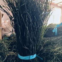 精品干豆角品质保证无色素，市场商超可长期供应