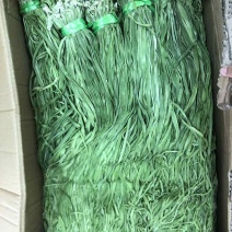 产地看货一级贡菜直批商用贡菜火锅专用