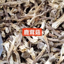 干鹿茸菇干净均匀适合所有人群食用1件10斤常年批发