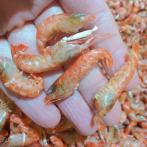 虾干美味小河虾河虾虾干干虾地摊电商批发爪虾