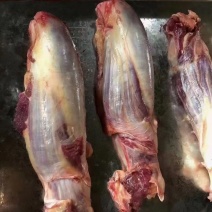 腱子肉