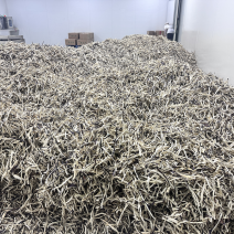 2026年精品茄子片/丝茄子干茄子片自然风干蔬菜