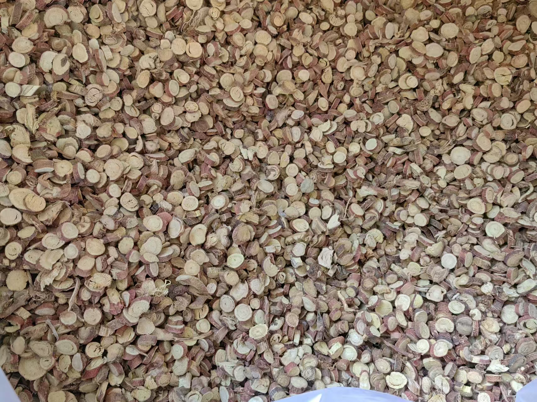 洒黄芩药材展示