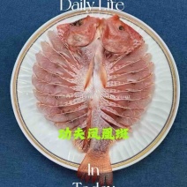 彩虹鲷开背免处理红星斑鱼红罗非鱼半成品酒店食材