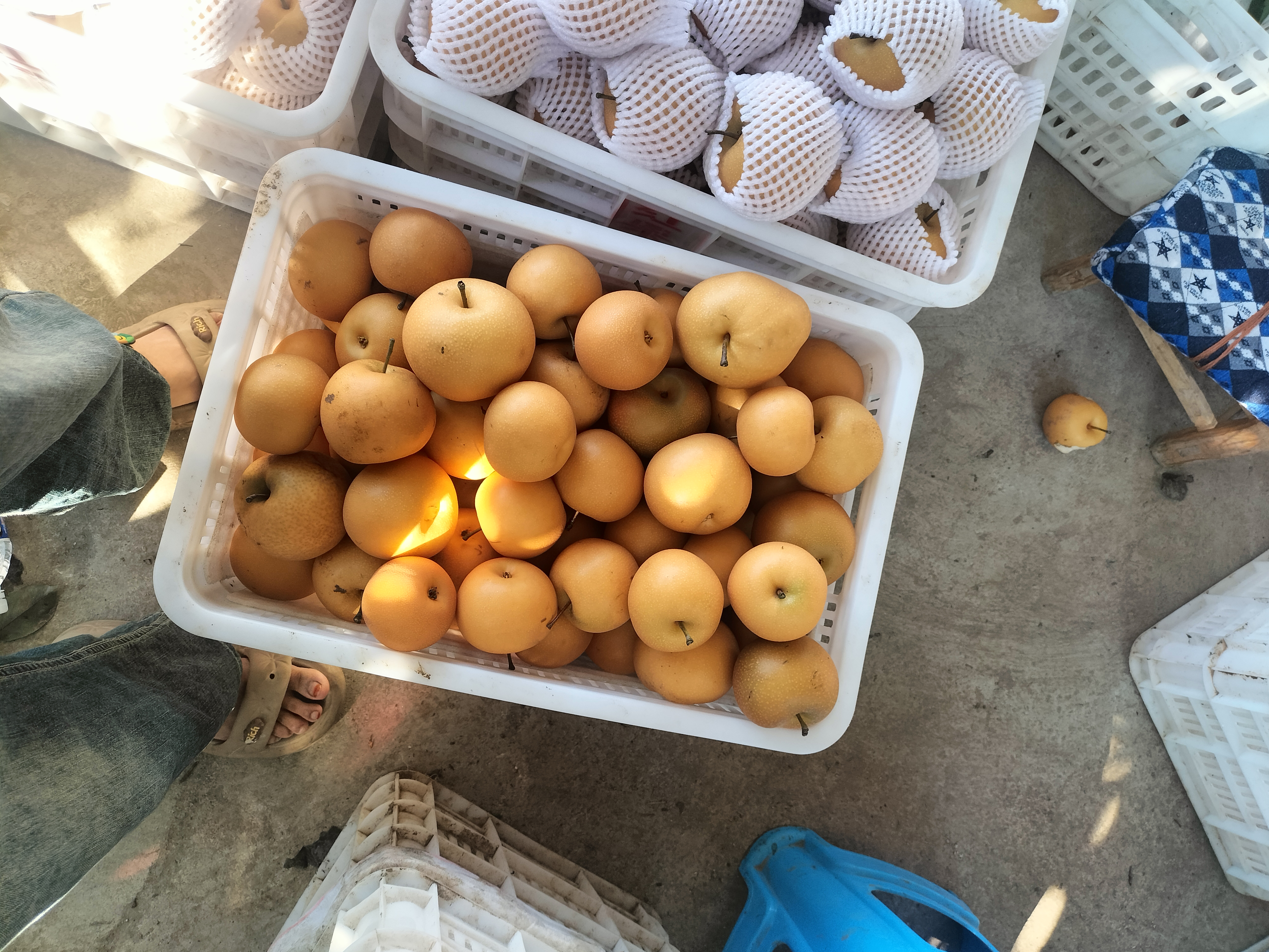 市场售卖场景对比图