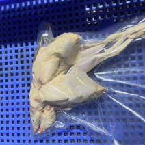 佛山鹧鸪肉。基地直发，真空包装欢迎进店咨询。