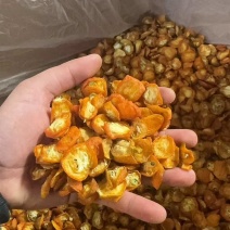 金桔片金桔丁冻干烘干产地直发