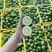 对接全国各大电商平台工厂柠檬切片果榨汁果原料果