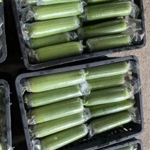 套袋水瓜丝瓜，肉丝瓜，广西水瓜之乡