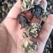 木耳(地摊木耳，赶集木耳)无加重木耳，品质保证摆地摊卖