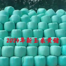 常年供应秸秆黄储牛羊饲料保证质量价格便宜