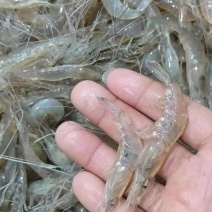 速冻，规格280粒左右