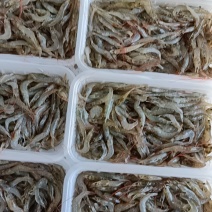 虾/小虾/小明虾/自家养殖直供/自助餐、火锅，酒店，餐厅适用