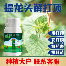 专门提龙头花打顶瓜打顶龙头不长黄瓜快速提龙头腐殖酸水溶肥