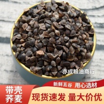 带壳荞麦批发甜荞麦发芽酿酒原料荞麦宠物粮荞麦