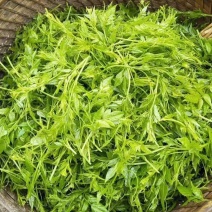 莓茶