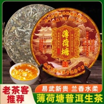 荷塘古树陈年生茶口粮357克批发云南产地普洱茶七子茶叶