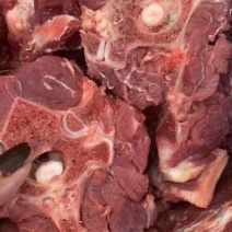 马蝎子