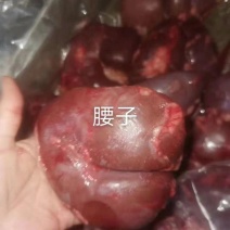 马腰子