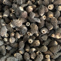 羊肚菌批发一手货源食用菌干货2-4/3-5/4-6
