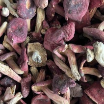 方城红菇干货伏牛山野生红菇开伞月子菇原产地特价包邮