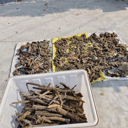 江苏南通启东市紫梢花产地货源批发价格行情