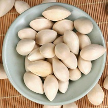 白果