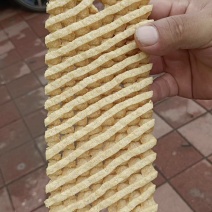 精品兰花干