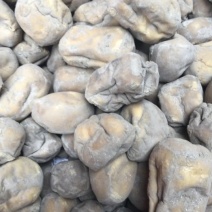 灰豆腐果