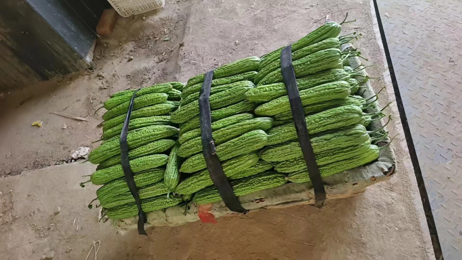 绿宝甜瓜包装与物流场景