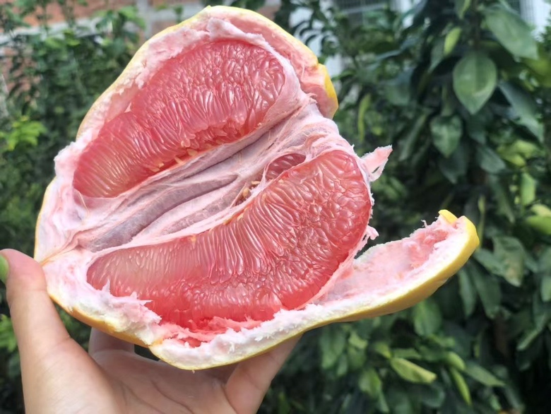 新鲜切开的柚子，果肉饱满多汁