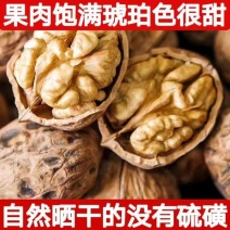 四川核桃大凉山核桃干核桃