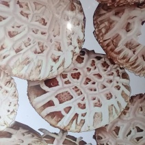 河南省灵宝市，七河香菇，质优价廉，欢迎联系选购