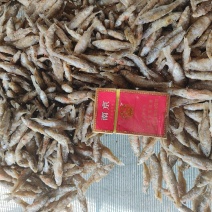 麦穗鱼油炸麦穗鱼规格齐全质量保证欢迎咨询