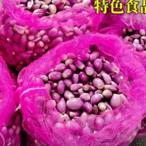 生吃辛辣红葱头新鲜炸葱油商用紫肉香辣爽口