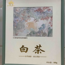 恩施白茶扁型