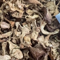 【黄丝菌】鸡油菌四川鸡油菌，原产地直发，规格齐全品种多样
