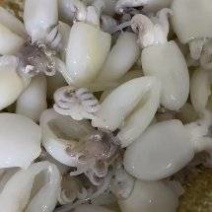 墨鱼仔、单冻纸箱包装、30斤/件北海发货