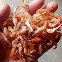 烤虾干