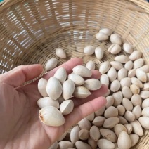 银杏果