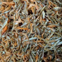 小鱼小虾