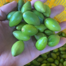特甜二号一级青橄榄