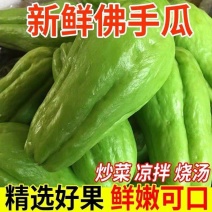 【实力佛手瓜】一手货源，全国发货，诚信经营，欢迎来电。一