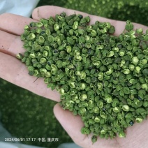 【精品青麻椒】大量现货供应，全年有货，对接商超电商批发商