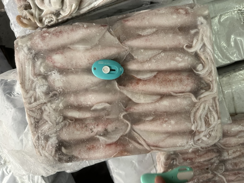 冷冻花蛤的处理与烹饪