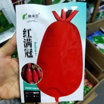 大红袍萝卜种子红皮白心早熟耐热口感好阳台庭院盆栽蔬菜种子