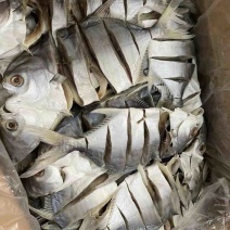 金鲳鱼干深海鱼干自家有量加工一手货源批发
