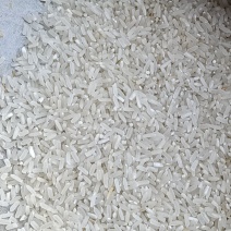 24年新稻谷，价格便宜加工粮，有需要的老板联系。