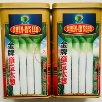 金牌章丘大葱种子四季葱种籽春秋蔬菜种籽香葱小孑葱籽蔬菜葱