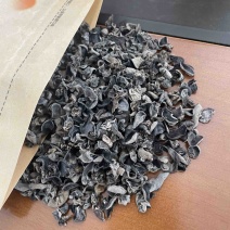 黑木耳精选优质质量保证价格实惠诚信经营欢迎咨询